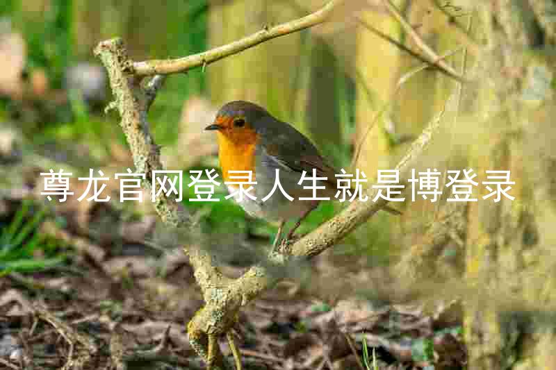 尊龙官网登录人生就是博登录