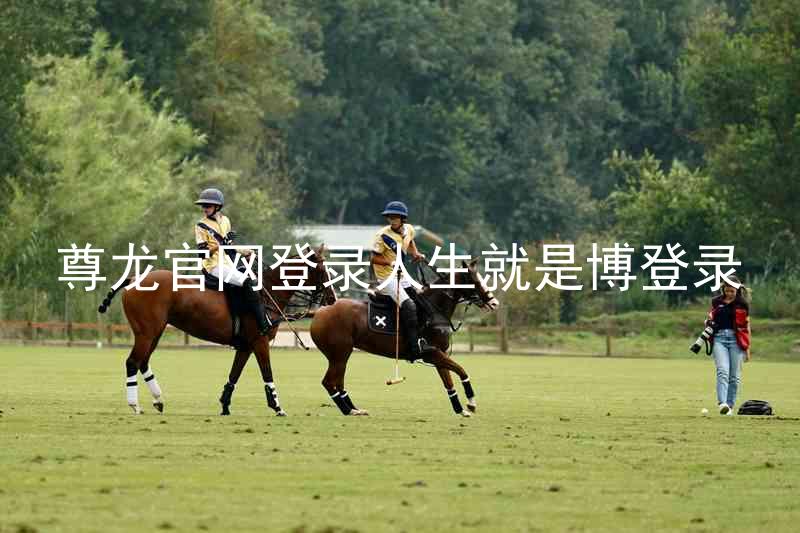 尊龙官网登录人生就是博登录